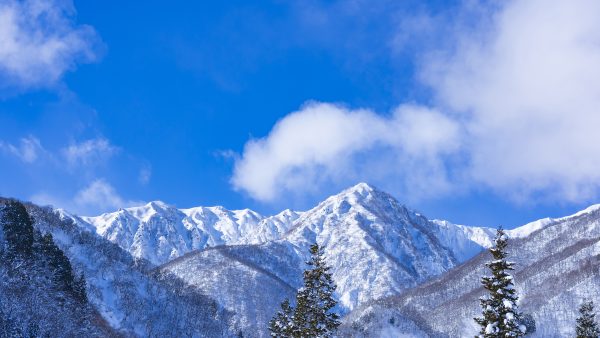 オーバーグルグル様撮影